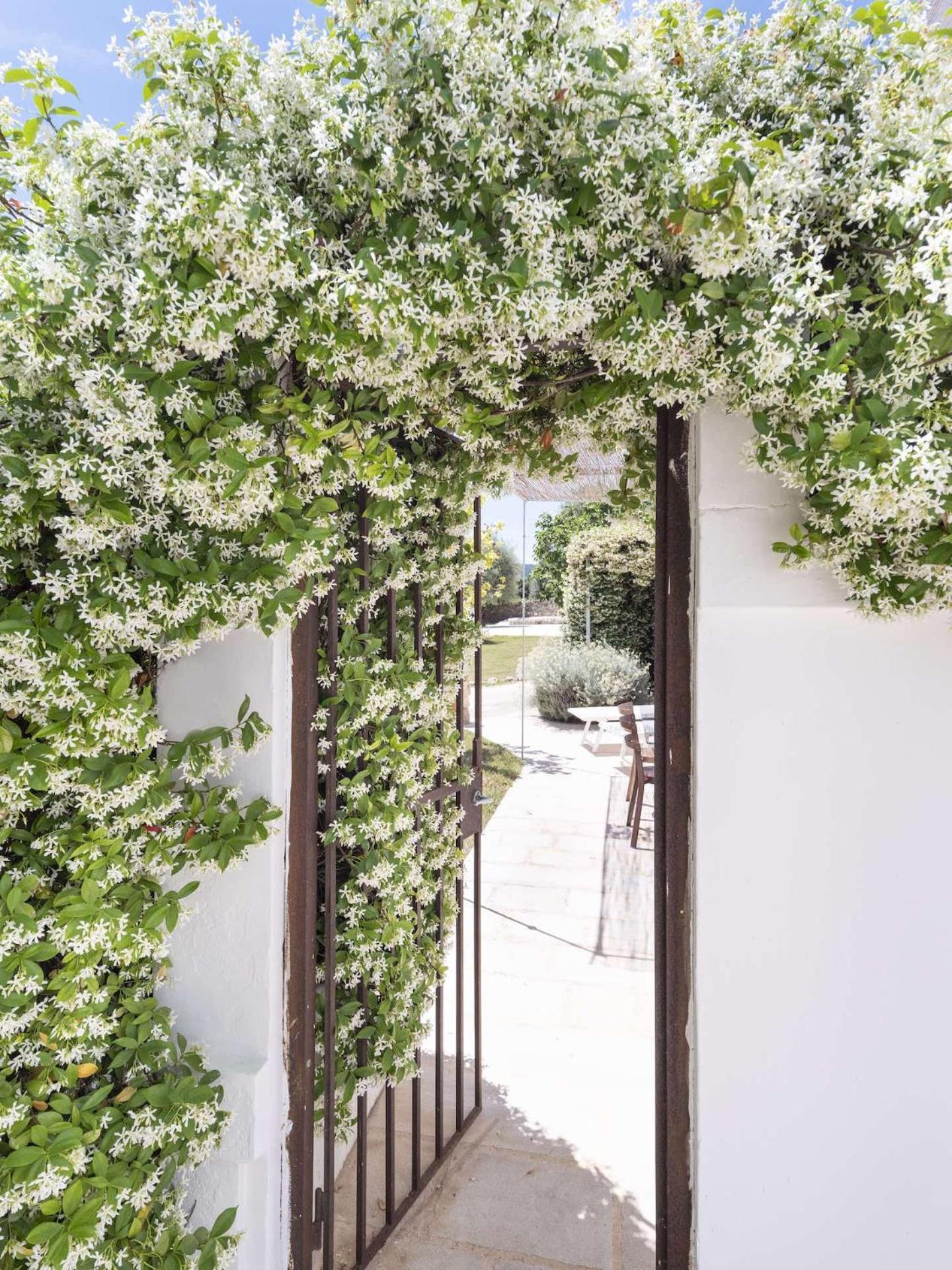 Masseria Alchimia ฟาซาโน ภายนอก รูปภาพ